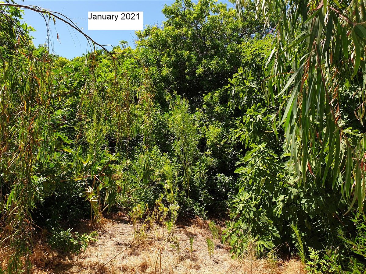 Mike_PHCC tweet media