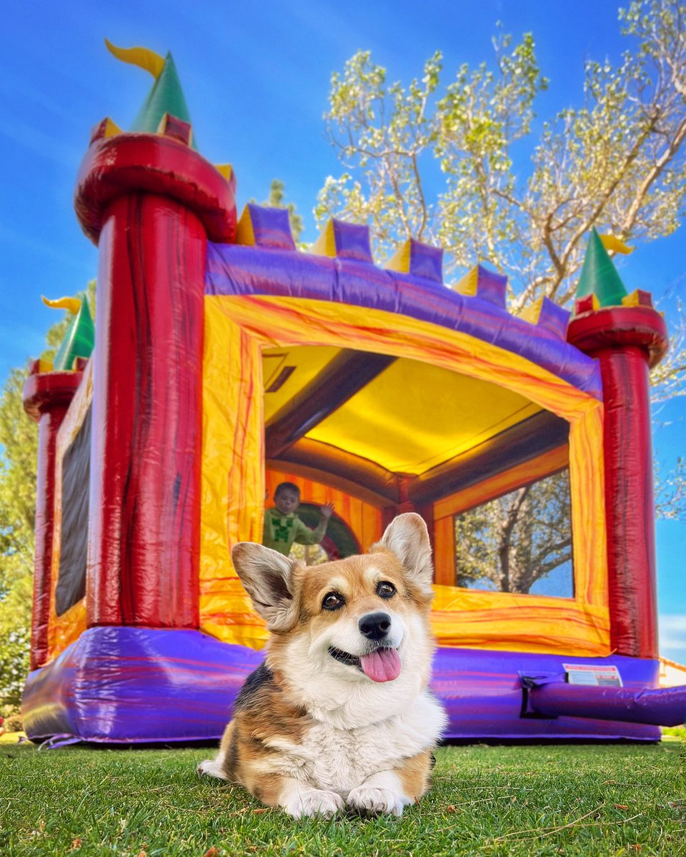 Somebody put up a castle for me* in the park! And it’s not even my birthday**! 🏰❤️👑
*This was NOT actually for me 🤣
**Today is my half-birthday, but half-birthdays are not a thing, so please don’t send presents 🤣
#HalfBirthday #PrincessParty #QueenOfTheCastle