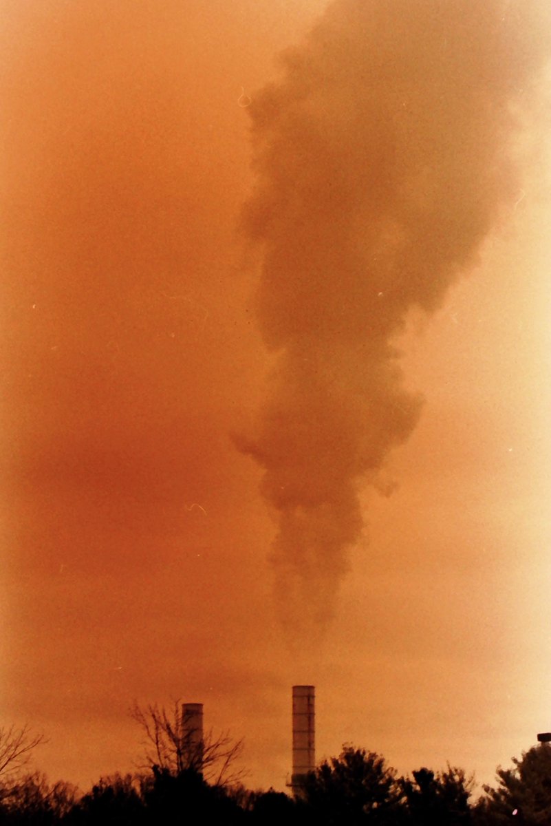 amberkinson's tweet image. Cross-Processing, 35mm, Shot on Minolta Maxxum5