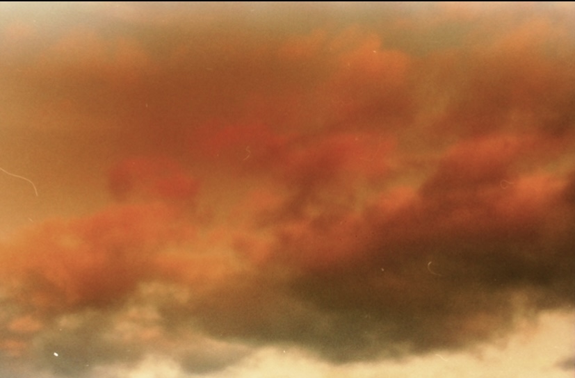 amberkinson's tweet image. Cross-Processing, 35mm, Shot on Minolta Maxxum5