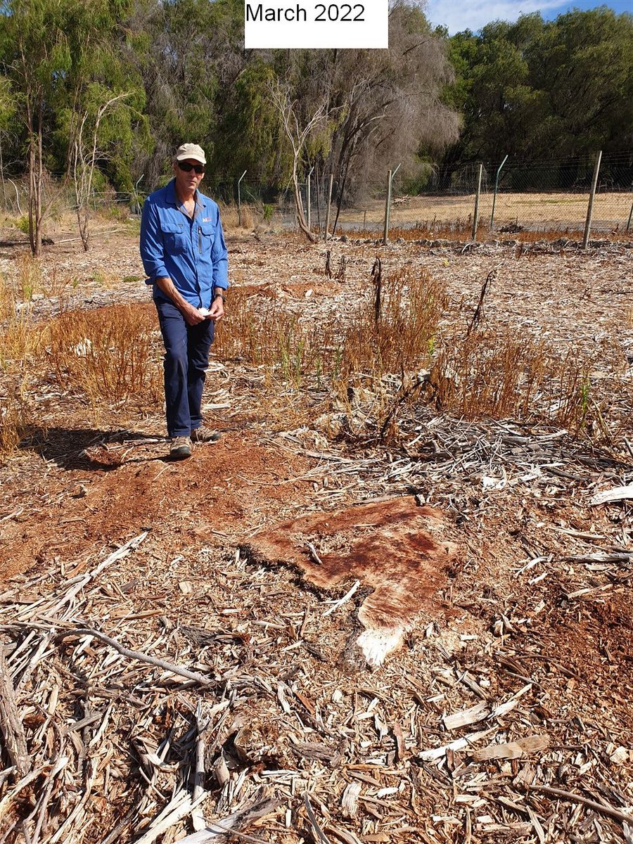 Mike_PHCC tweet media