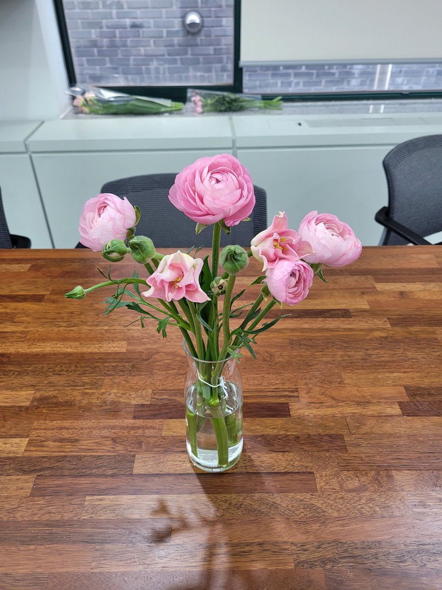 chalchal🌵 tweet media