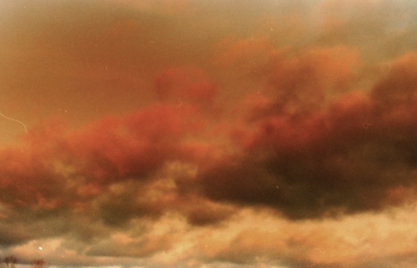 amberkinson's tweet image. Cross-Processing, 35mm, Shot on Minolta Maxxum5