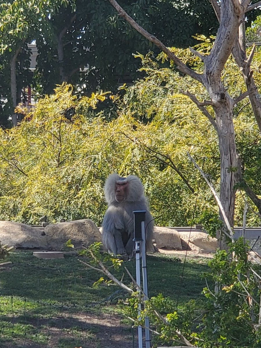 MaggieIsidore's tweet photo. 平静平和，这也是一种风景！ https://t.co/RyFOfe5ycr