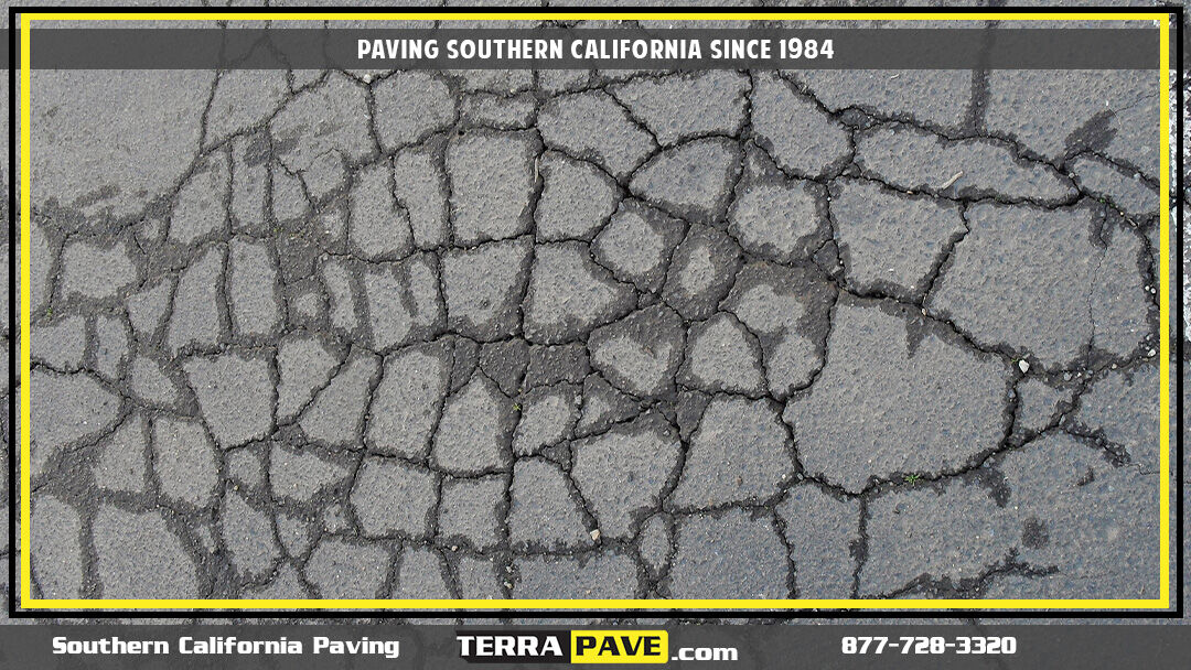 TerraPaveInc's tweet photo. 🚧Alligator Cracking is a series of interconnecting cracks in an asphalt pavement surface forming a pattern that resembles an alligator's hide.
🦺 #TerraPaveInc Paving #SoCal since 1984
📲Free eval (877) 728-3320. https://t.co/0k89oyvJgx
#commercialpaving #supportlocal #la #socal https://t.co/jmIPbX4ABY
