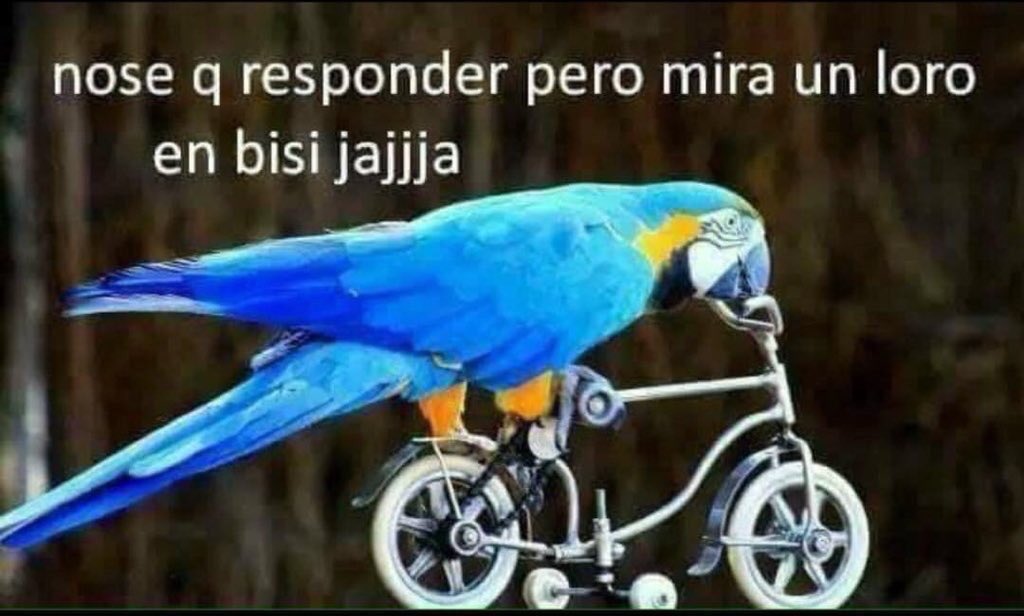 lautarado's tweet photo. mucho like poco follow! https://t.co/H1q5WT3wes