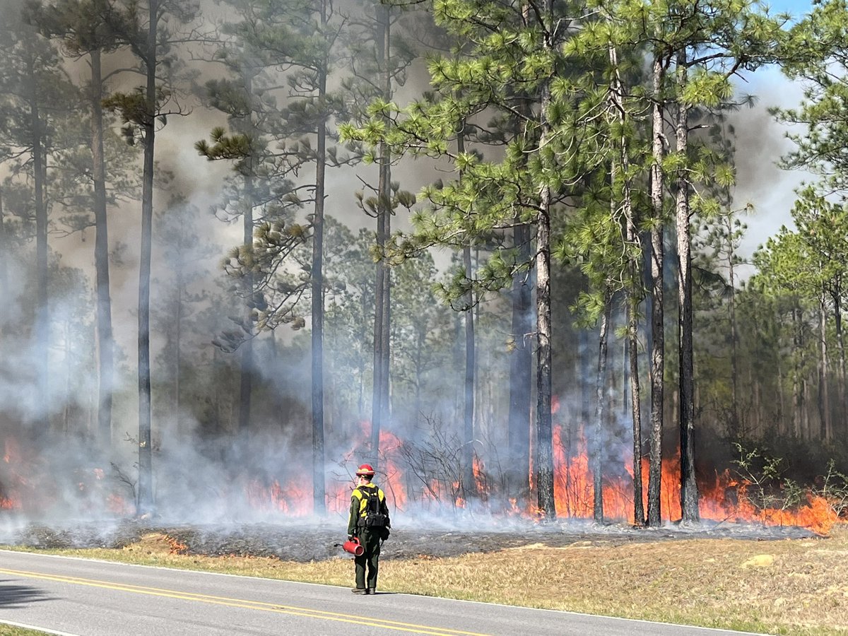 LeslieIsaRojas's tweet photo. Many people were evacuated as the fire approached a neighborhood in Jackson County. 

Firefighters fought the flames near Old Biloxi Rd. https://t.co/Ab3G5dcV24