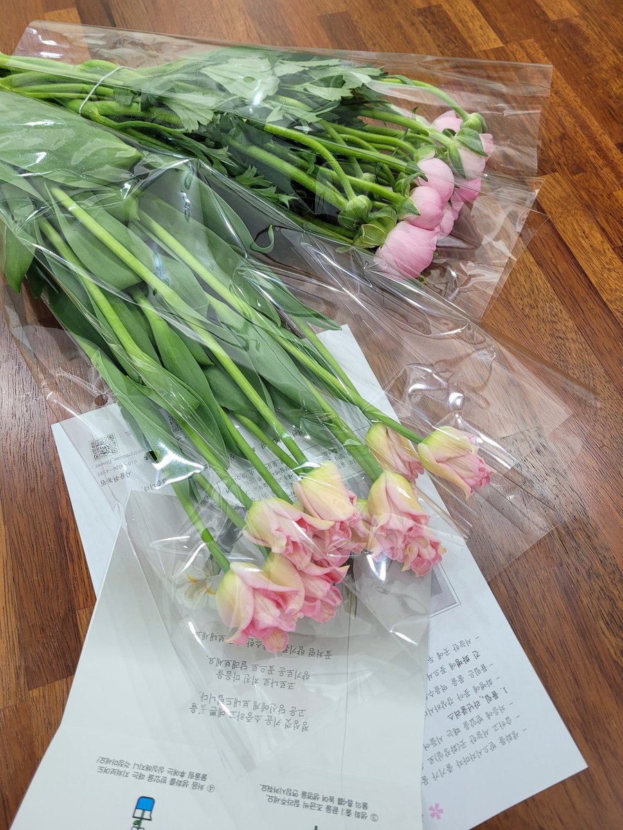 chalchal🌵 tweet media