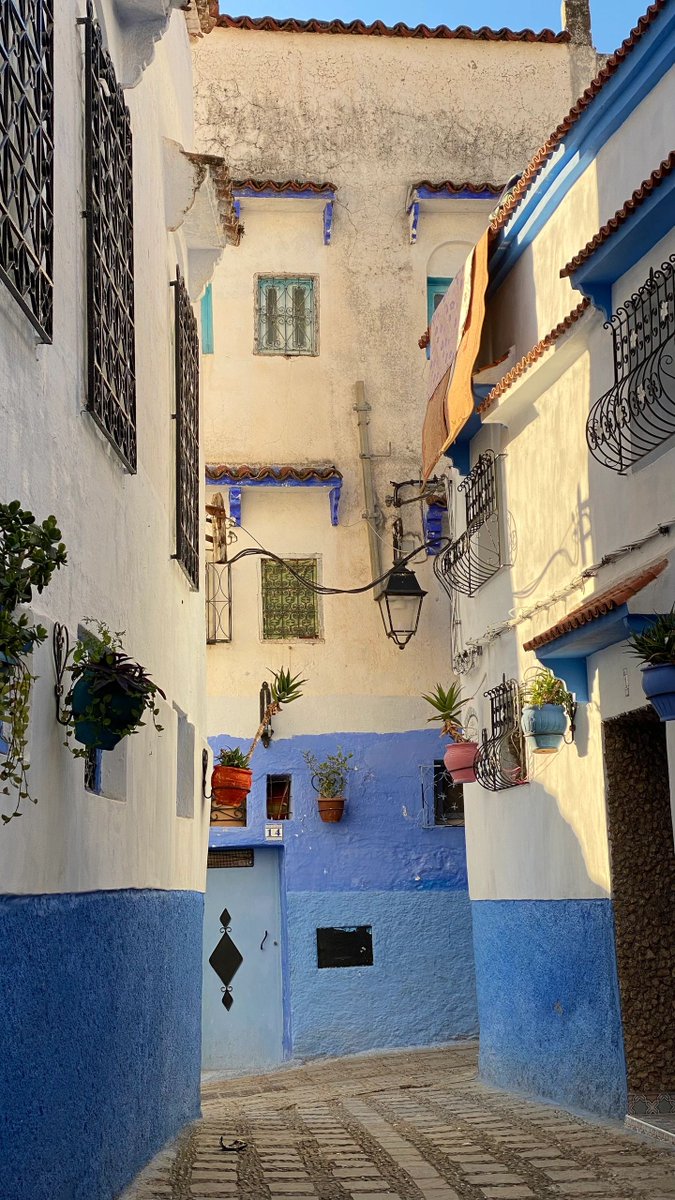 Basic_Traveler's tweet photo. I was going to start off by saying life has been chaotic lately, but how long ago does lately go?! Check out the chaos’s that was our trip to Morocco. #travelmadrid #travelmorocco #travelcouple #gettingstamped #adventuretravel

https://t.co/N0XMqgBxGs https://t.co/AbSia7Yqqa