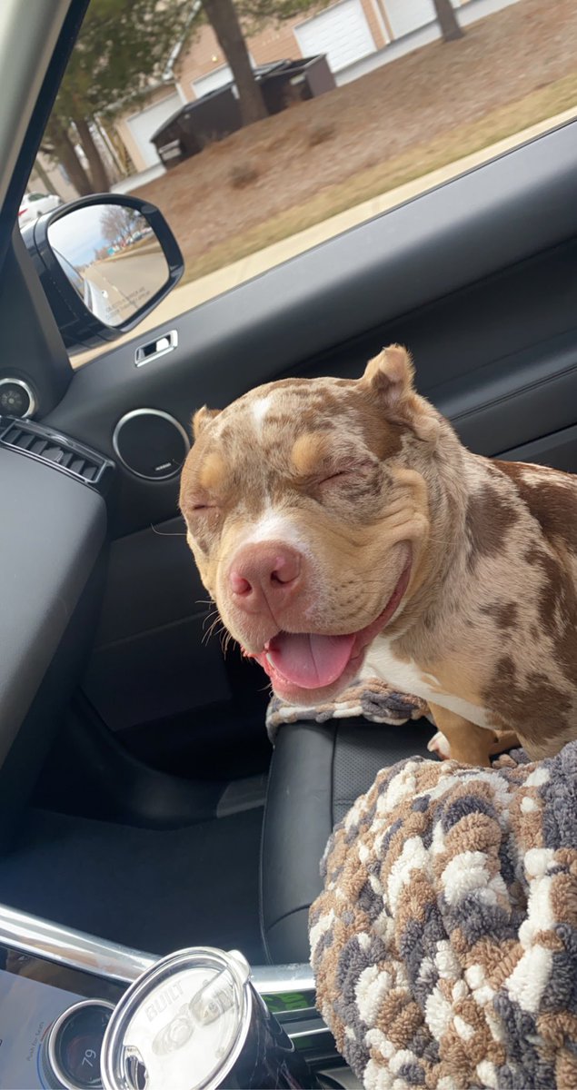 MorganAppelgren's tweet photo. angel bby 🥰❣️ https://t.co/a4TIpKgmvC
