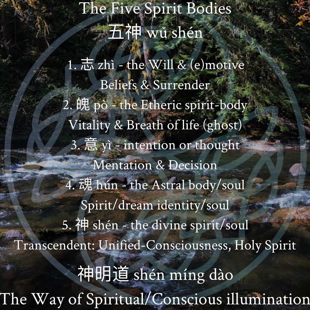 WildOakWellness's tweet photo. In Chinese &amp; East Asian Medicine Theory there is an important description of the 5 Shen (layers/bodies of spirit/consciousness) that is extremely important to living a healthy life, as our psychology/spirituality/consciousness have a role in healing. https://t.co/RPI8wPRguv
