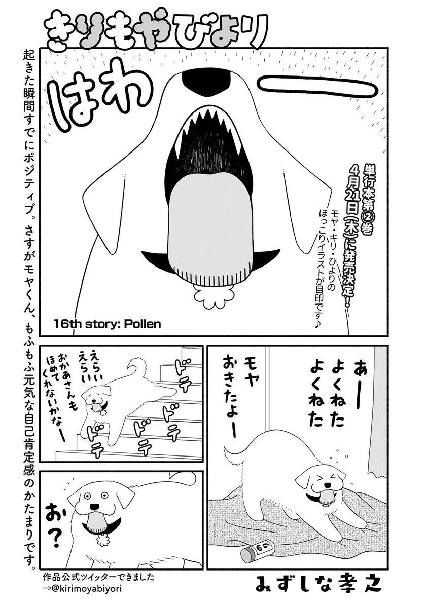 本日発売・講談社イブニングに「きりもやびより」第16話掲載されてます。何かが今年もやって来た!な回です。そしてお陰様で単行本2巻が4/21に発売になります。紙の単行本を確実にお求めになりたい方はご予約をよろしくお願いします!お初の方は1巻もあわせてどうぞ! 