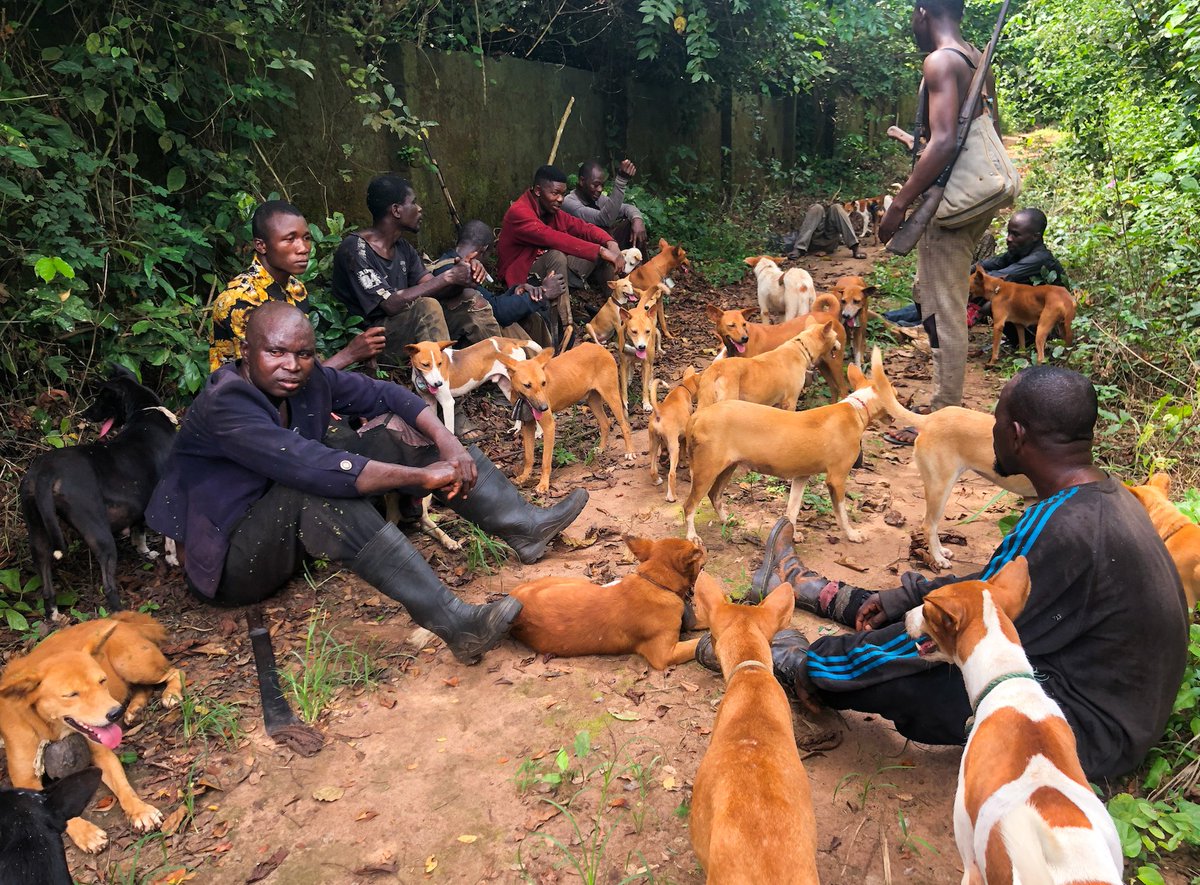 arthurfm007's tweet photo. Into the Heat Of African Jungle, Are beautiful pictures of old village life that is going extinct. This collection video as over 9.6m views on YouTube.
#NFTs #collectors 
https://t.co/mcEl7Aw1Cn
https://t.co/UspzVaWL2u
https://t.co/VTVMwauPq4 https://t.co/Zdp3NVJi50