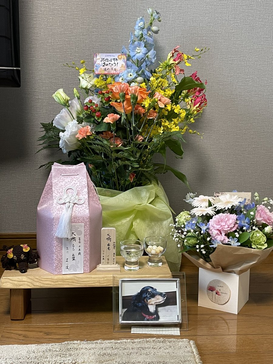 gorira231041's tweet photo. 親の結婚25周年とももの別れと。
これからも家族で笑っていられるよう頑張ろう😚 https://t.co/xtCYK49CKG