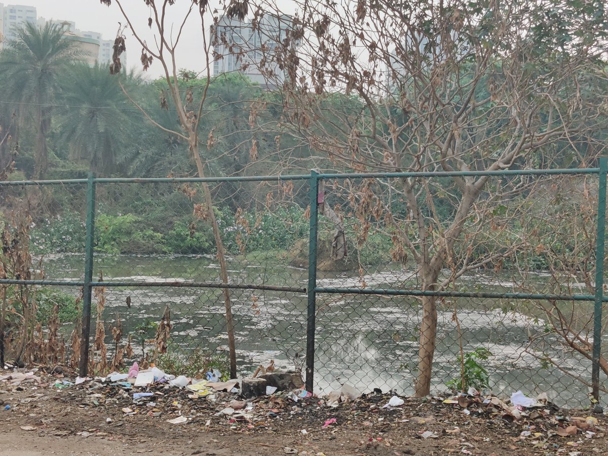 aravindtv123's tweet photo. Hello @BBMPCOMM @BBMPSplHealth @BBMPAdmn we are facing an issue with filthy smell from the pond which is located next to JCHS 2nd stage, 184/Uttarahalli ward, and the smell is unbearable. This will lead to health issues in the coming days. I request the BBMP to take quick action https://t.co/iadSkbvwaZ