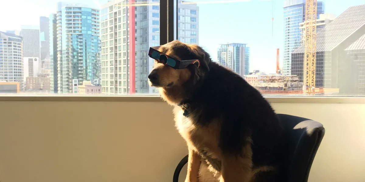 Bianca E. McCann tweet media