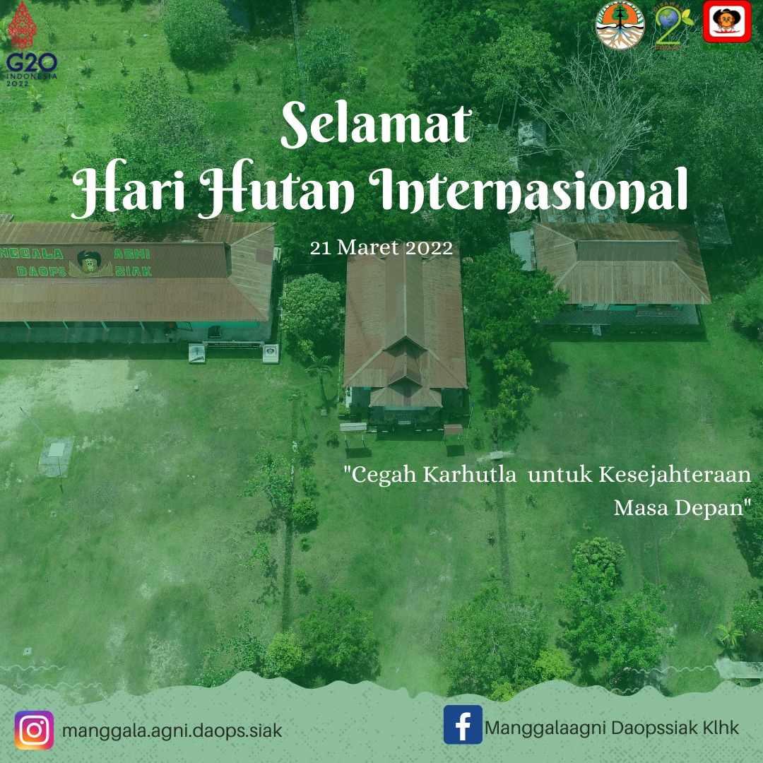DaopsSiak's tweet photo. Selamat Hari Hutan Internasional 2022, Sobat SiPongi... 

Ternyata banyak aspek kehidupan manusia yang bergantung dengan keberadaan hutan lhoo, seperti kebutuhan akan air,oksigen,sumber makanan, dan sumber obat-obatan. https://t.co/wISZsEO7Qz