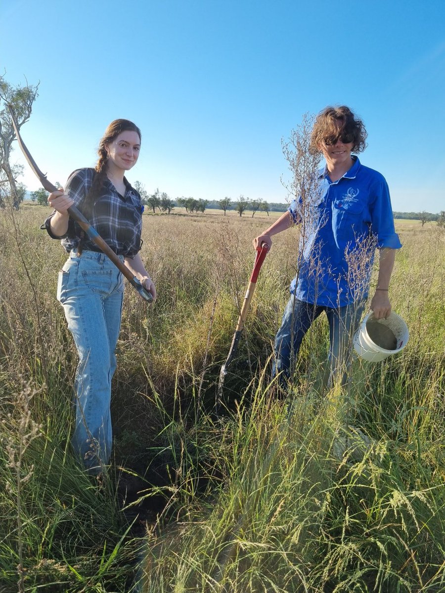 vanessapino's tweet photo. Soil sampling campaign still going at Llara's farm #USYD. Monitoring #bulkdensity and #totalcarbon for @land_hydro experiments. Ella and Will amazing team 👏🏾! @wv2017 @amandagraafhot1 
@SiaSydney @SydneySOLES https://t.co/RQNHViOoGX