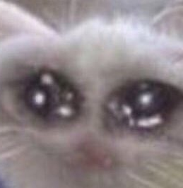 Walking Bird tweet media