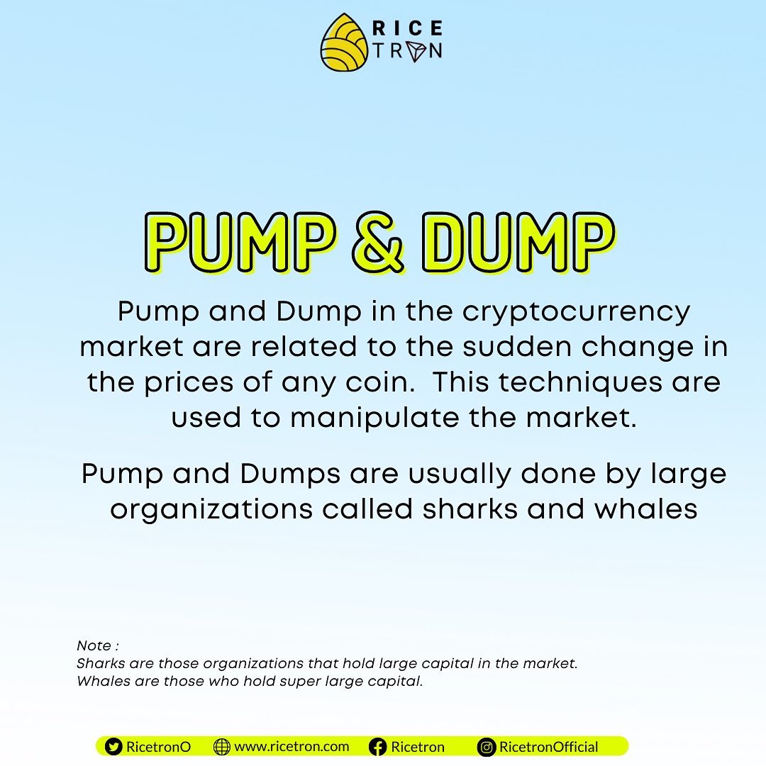 Ricetron Official tweet media
