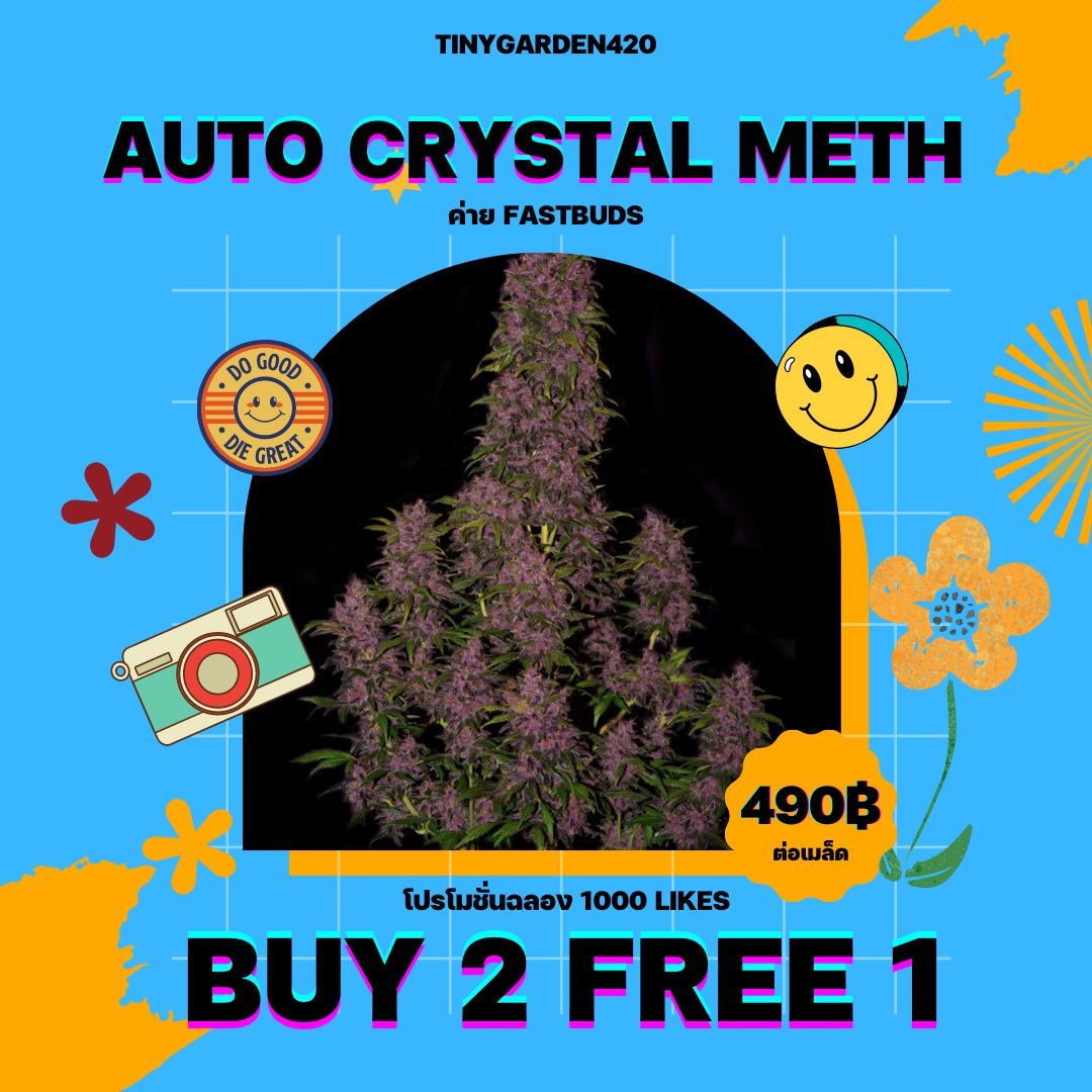 tinygarden420's tweet photo. ฉลอง 1,000 like 🥳
จัดโปรพิเศษ #ซื้อ2ฟรี1 😉

🎄#AutoBCNcriticalxxl
🌺#AutoCrystalMeth
😈#MonsterZkittlez 
🤯#Headstrong

โปรโมชั่นถึงวันที่ 31 มีนาคมนี้นะครับ💚 https://t.co/ziNc5hgbIa