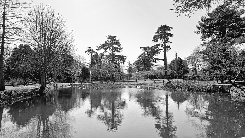 NΞAL | karyu.eth 📸🇬🇧 tweet media