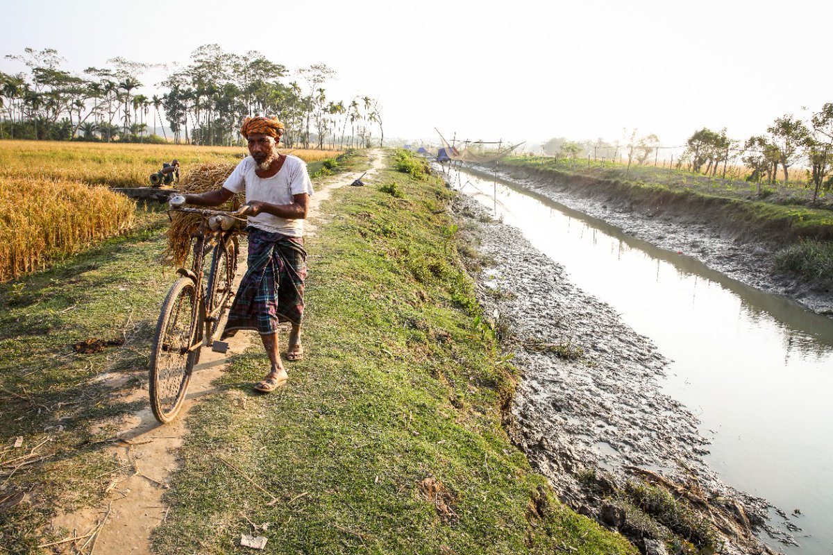 IFADAsia's tweet photo. #WorldWaterDay2022

Farmers in coastal #Bangladesh face saltwater intrusion, lack of access to potable water &amp; irrigation. 

@IFAD &amp; Govt of 🇧🇩 supports farmers to manage 💧 w/
 🌱Efficient irrigation  
 💧Canal excavation
  📚Training water user groups https://t.co/fZ5lGFsOwG