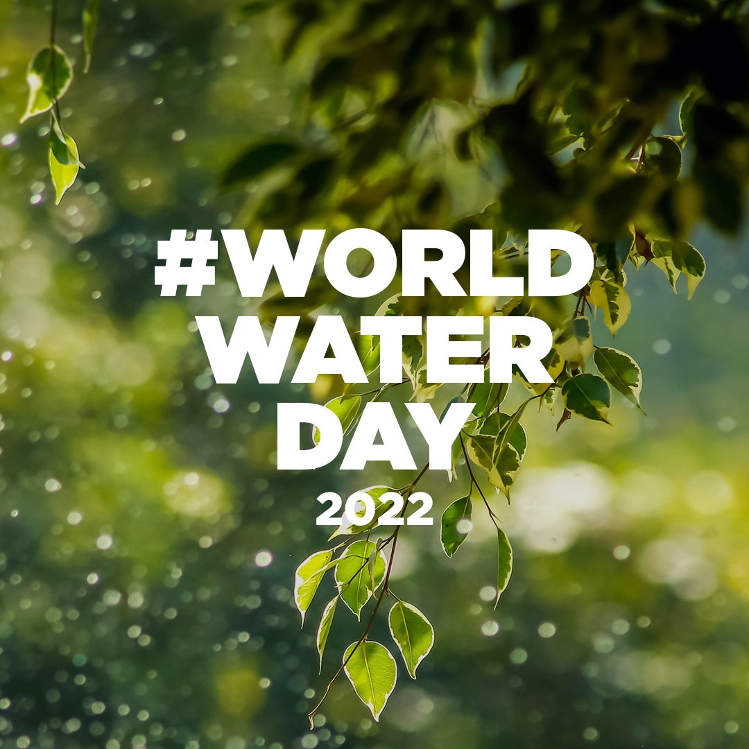 V2FoodOfficial's tweet photo. This #worldwaterday, weโre taking a moment to appreciate one of earthโs most precious resources.
Did you know that swapping 1kg of beef for 1kg of v2 saves 15,402 litres of water? Thatโs the equivalent of spending 64.17 hours in the shower!
#v2food #sustainablefacts #savewater https://t.co/jTb7vC59xn