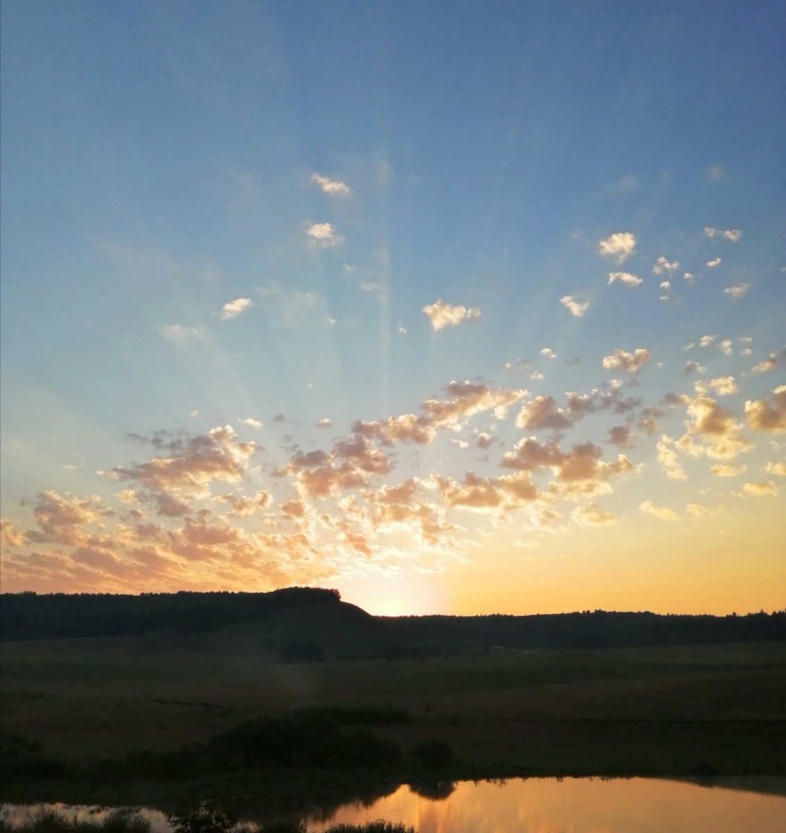 🌤 С добрым утром, Камышлинский район!

🖼 Фото Ольги Мартыновой vk.com/id190080919
...пусть она не совсем по сезону, но может как раз сейчас она кого-то взбодрит и напомнит, что уже весна 🌱

Весенних дней круговорот,
Ведёт нас к тёплым дням и лету… t2p.pw/1vbFiOA3HV