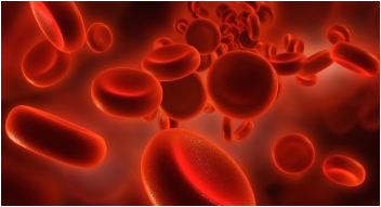 Cleansing your #blood mainly in women is a good way to naturally clear out toxins from the body and maintain optimum #health . https://t.co/r7ibMPFxwv