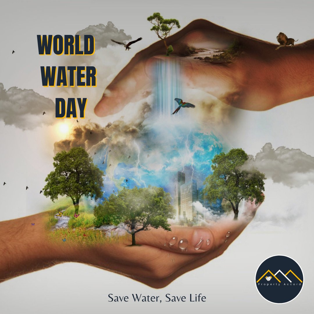 propertyaccord's tweet photo. World Water Day💧
Save Water, Save Life🧬
We have to understand the importance of water🤔

#WaterDay2022  #WorldWaterDay2022  #SaveWater  #savelife  #savewatersavelife  #waterday  #life #save #propertyaccord https://t.co/PTpOE4QnGN