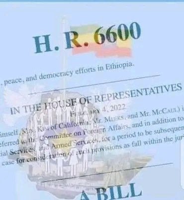 lemamengistu21's tweet photo. HR6600 የሚጎዳው መንግስትን ሳይሆን ህዝብን ነው፡፡ ሰለዚህ ሀዝቡ በአንድነት ሆኖ ለቃወም ይገባል ልክ እንደ #NOMORE ዘመቻ ምንግስት ላይ ቅሬታ ሊኖረን ይችላል ነገር ግን ህዝብን መታደግ አለብን፡፡ https://t.co/ivcZvDJwEO