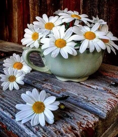 The key of being happy is how to live and knowing what we have .cherish your treasure😊

Morning❤🌞