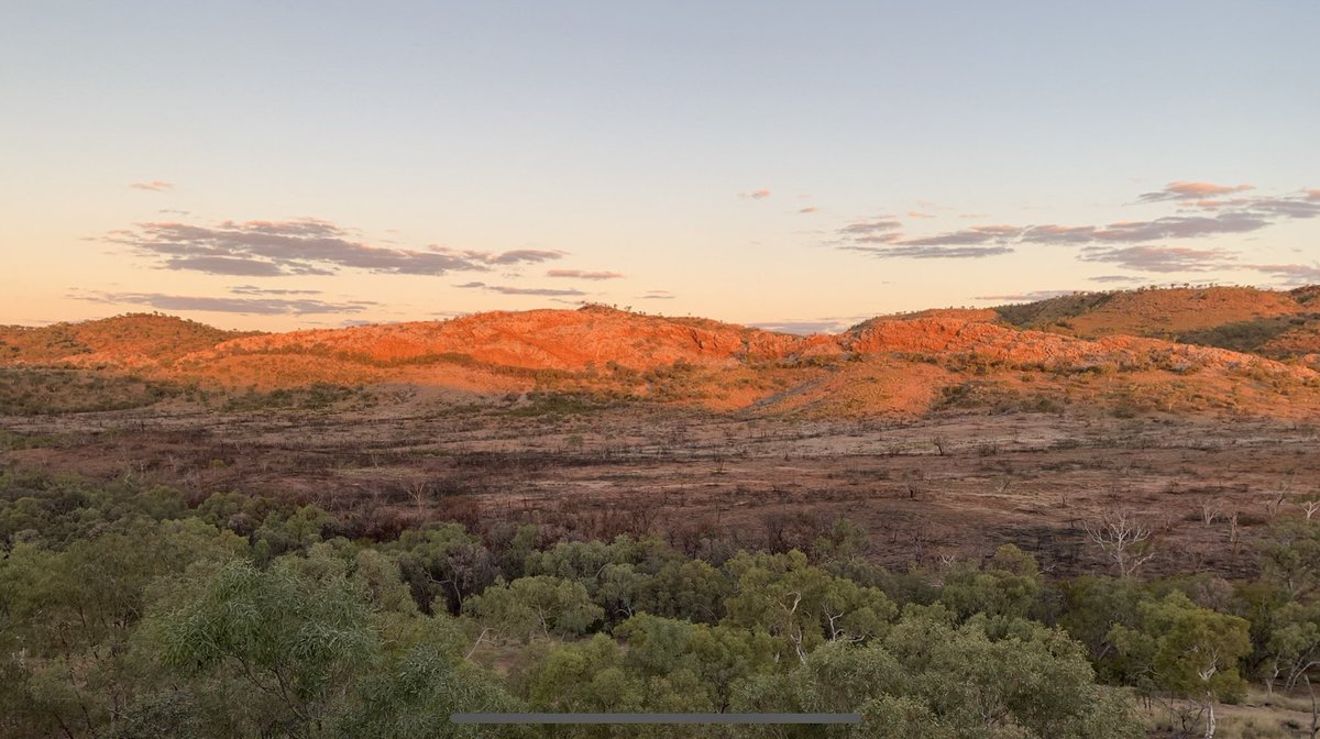 Teresa Ubide tweet media