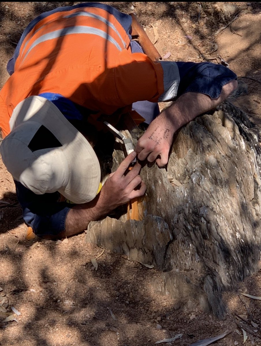 Teresa Ubide tweet media