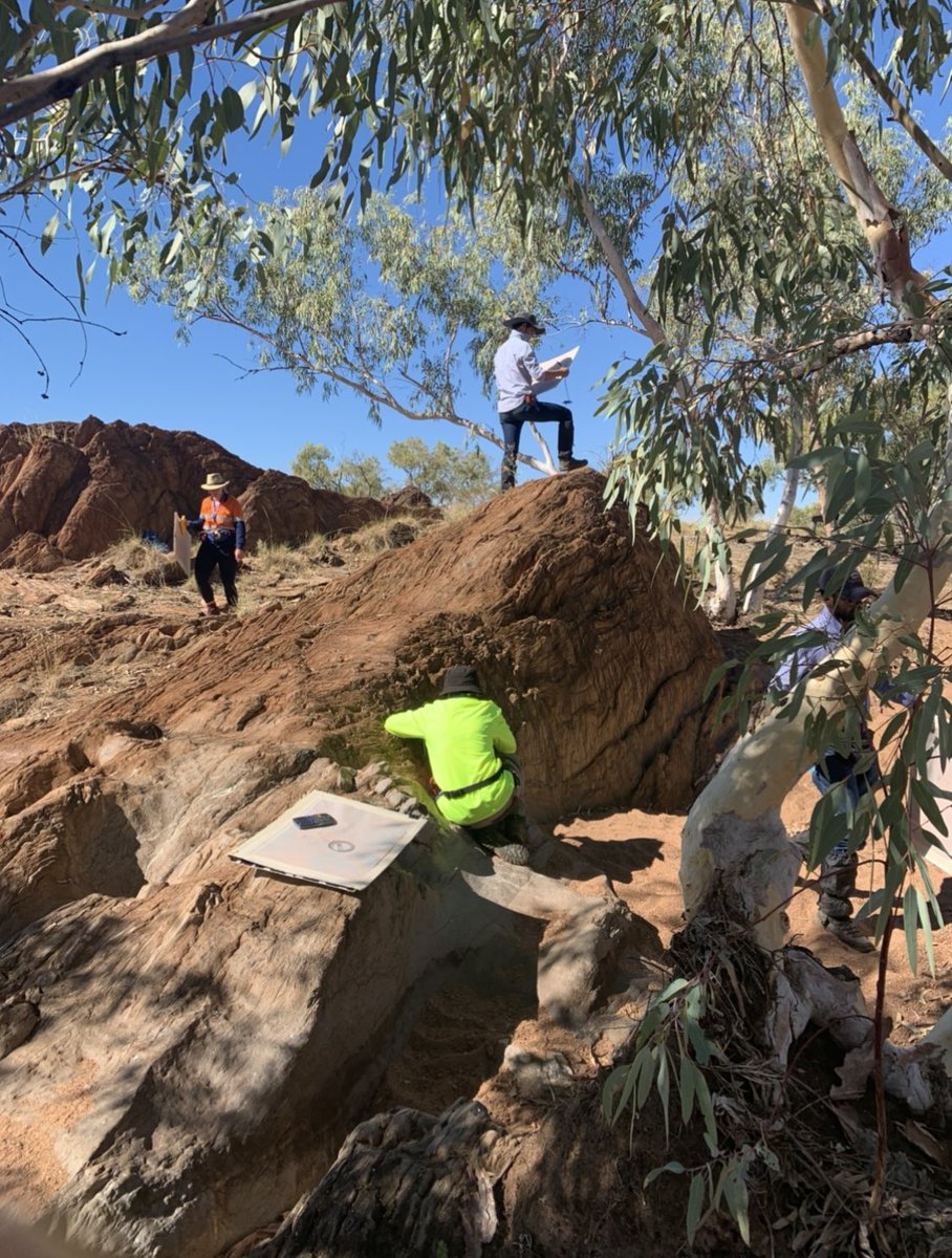 Teresa Ubide tweet media