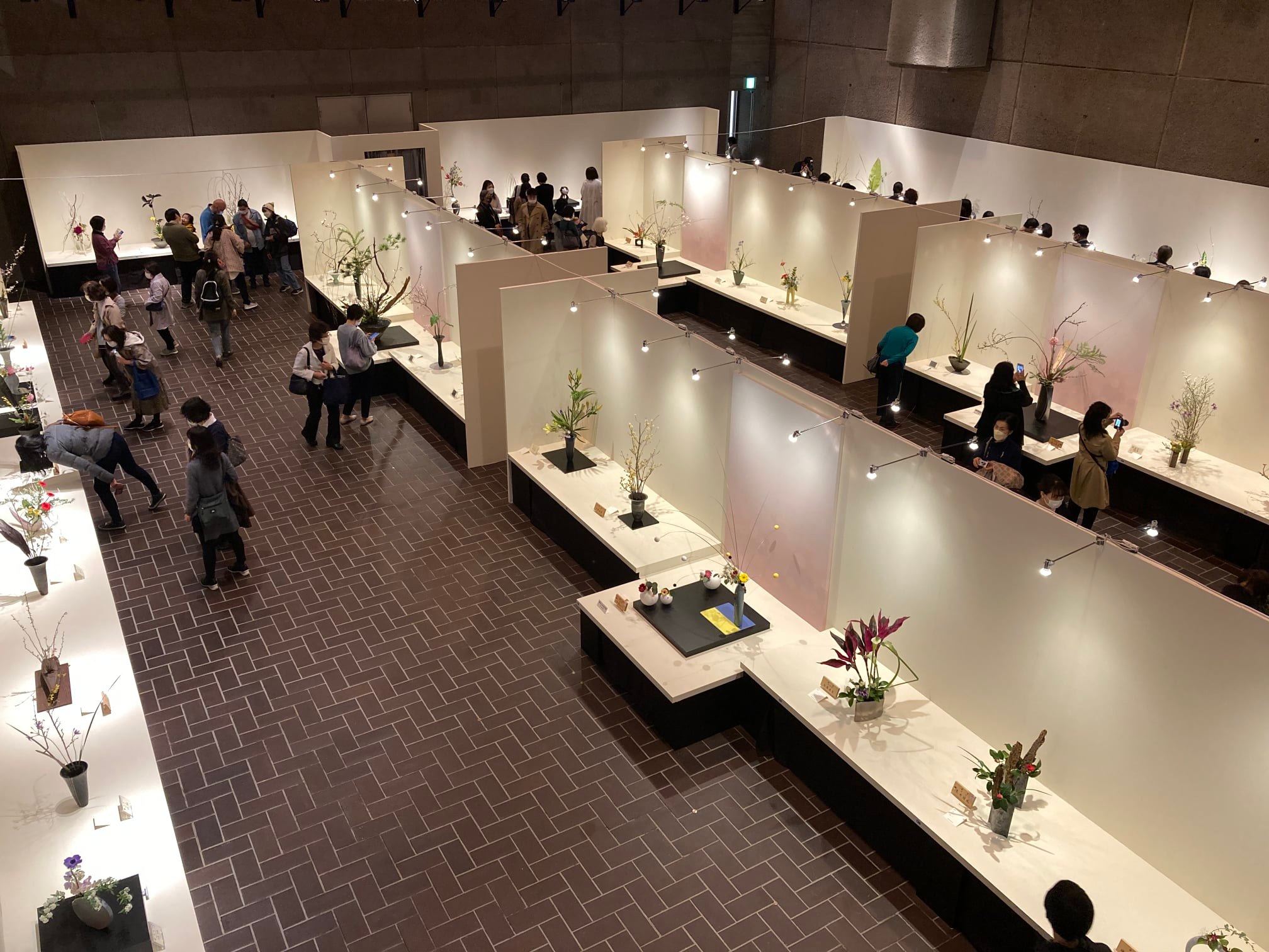 いけばな池坊 公式 開催中 上野の東京都美術館において 東京連合支部花展 を開催しております お近くの方は是非足をお運びください 生け花 上野公園 第回池坊東京連合支部いけばな池坊展 3 日 3 30 水 東京都美術館 Jr上野駅 いけばな池坊 公式 開催中 上野の東京都美術館において 東京連合支部花展 を開催しております お近くの方は是非足をお運びください 生け花 上野公園 第回池坊東京連合支部いけばな池坊展 3 日 3 30 水 東京都美術館 Jr上野駅