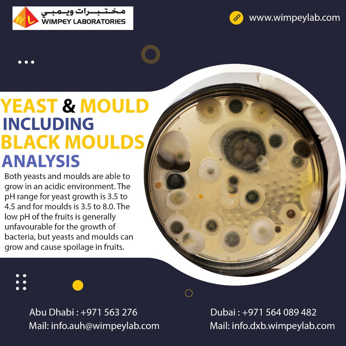WLaboratories's tweet photo. The large and diverse group of microscopic foodborne yeasts and molds (fungi) includes several hundred species. The ability of these organisms to attack many foods is due in large part to their relatively versatile environmental requirements.
#yeastandmoulds #Wimpey #UAE https://t.co/XgXicp4UMb