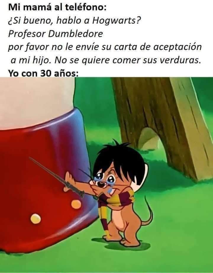 //Jajajajajaja
<a href="/Leonardotty/">Leonardo Gregorovitch</a> <a href="/nymphxdorxblxck/">𝖓𝐲𝐦𝐩𝐡𝐚𝐝͟𝐨͟𝐫͟𝐚͟ 𝖙𝐨𝐧𝐤𝐬 𝑚𝑖𝑠𝑠𝑖𝑛𝑔</a> <a href="/thehalfblood_pr/">Ｓｅｖｅｒｕｓ Ｓｎａｐｅ</a> @WSaraenvans <a href="/Cass_Warrington/">♞ Cᴀssɪᴜs Wᴀʀʀɪɴɢᴛᴏɴ ♞</a>