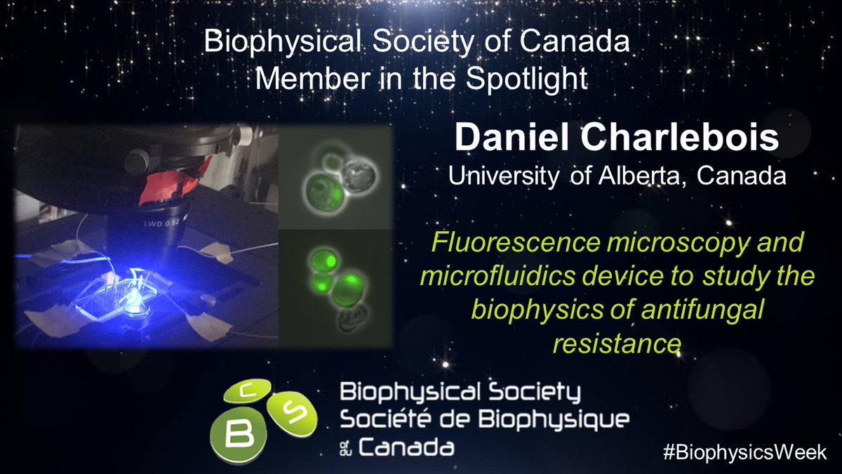 The Charlebois Lab @cLab_UAlberta combines biophysics, synthetic biology &amp; machine learning to study genetic networks, drug resistance &amp; bioEM. The research is advancing quantitative understanding of living systems, leading to treatments against drug resistance. #BiophysicsWeek