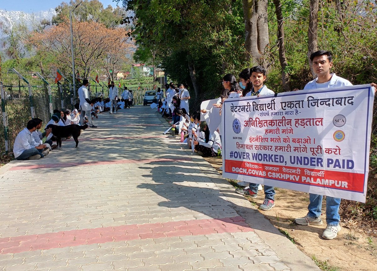 Drgcncovas's tweet photo. Strike #Day9
आज दिनांक 22/03/2022, हड़ताल के नौवें दिन के चलते डॉ. जी.सी. नेगी वेटरनरी कॉलेज पालमपुर के छात्र, वूल फेडरेशन,में आयोजित योजना बैठक के बाहर अपने इंटर्नशिप भत्ते को बढ़ाने की मांग को लेकर शांतिपूर्ण धरने पर।
#HP_Vet_Stipend 
@shantakumarbjp 
@CMOFFICEHP
@virenderknwr https://t.co/u1ajKUtqQh