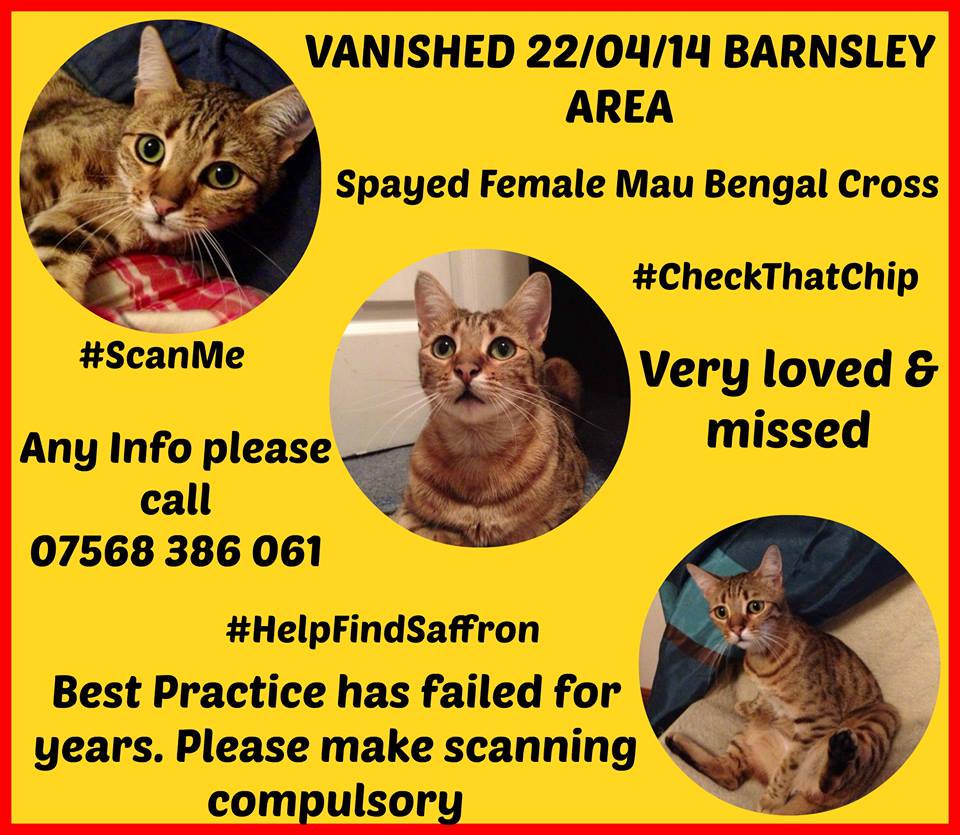 CatsMissing's tweet photo. #MissingCatDay thoughts of 2 missing family members
Microchips only help reunite if they are scanned
#HelpFindSaffron💔
#HelpFindApollo💔
🙏#ScanMe
Watch #HelpFindSaffron https://t.co/4WJdt4U7tp
Watch #Help2FindApollo https://t.co/3OPJkoPO5a
#MissingCatsUK https://t.co/6jrvEvXuxo https://t.co/8bhn8H4kOb