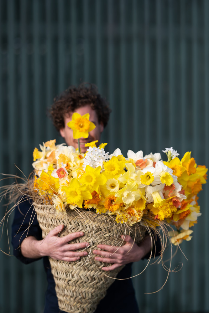 Gatufest med vårens lökväxter https://t.co/sBOIBggmSL https://t.co/FnAphb2m0h