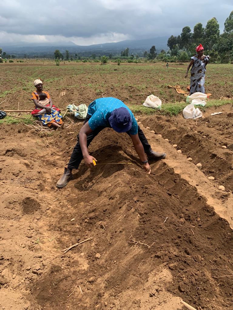 Farmers' Potato Academy (FPA) in Rwanda tweet media