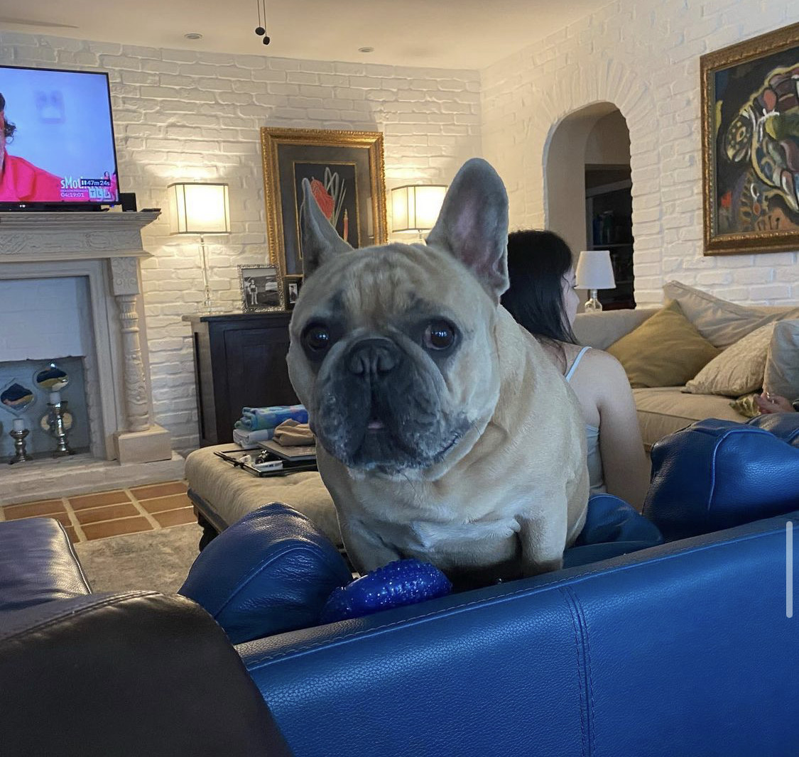 Ich vermisse dich, Kumpel, aber ich verspreche dir, dass ich bei dir sein würde, Audey.😍😍😍