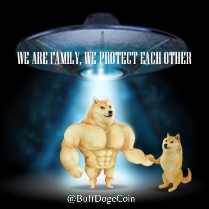 HilmanFinger's tweet photo. @MattWallace888 @Jay_OKX @decentraland #BuffDogeCoin we are families #dogecoin https://t.co/i2w6yRUULu