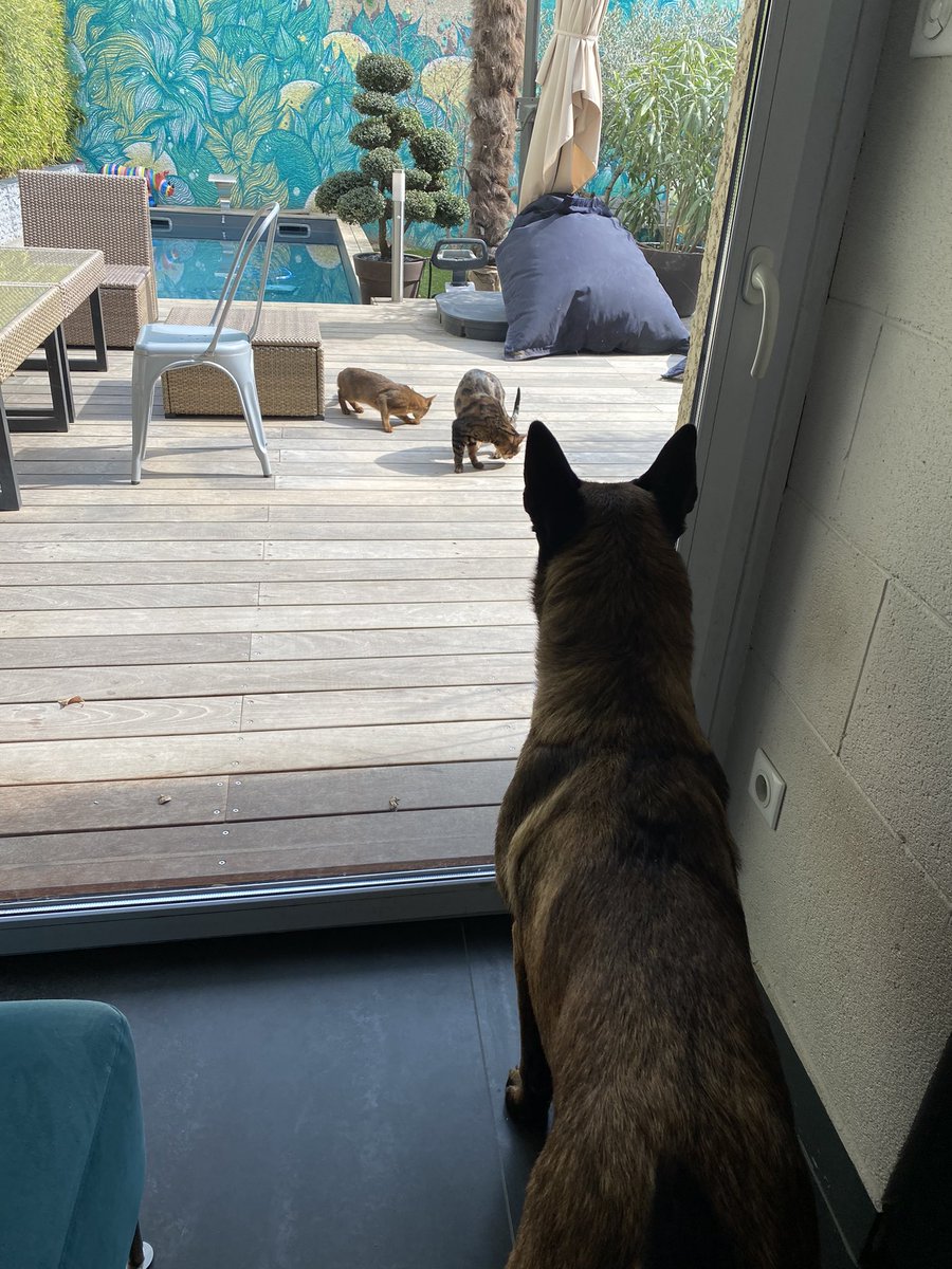 L’Augusterie tweet media