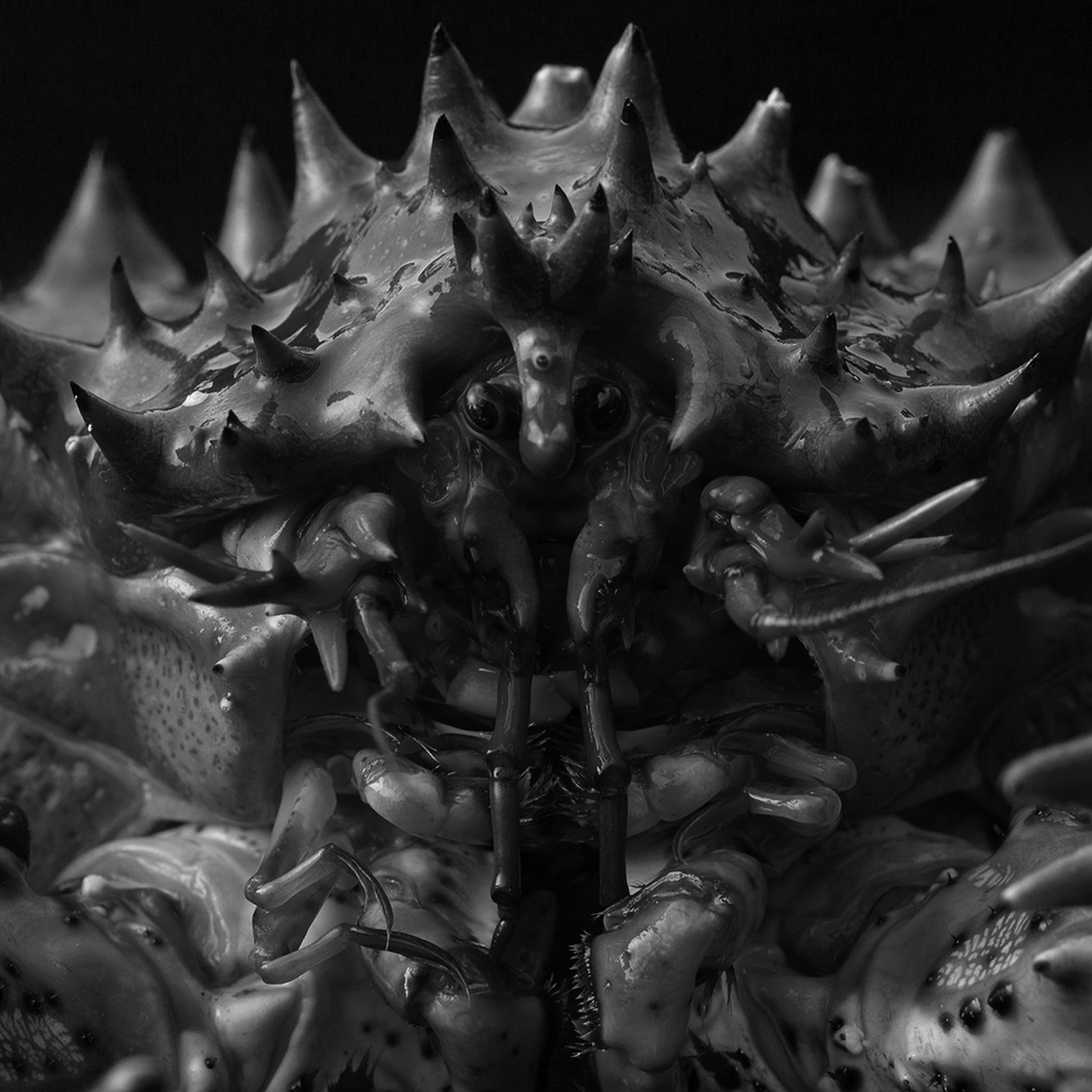 KentaroChiva's tweet photo. Cursed Rational Art Bomb
#CRAB #θΉ #ι #photography #seadead #art https://t.co/Wnvrj8lPDw