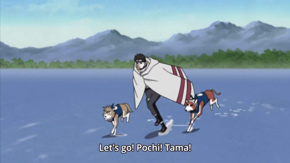 hourlysai_'s tweet photo. “let’s go! pochi! tama!” https://t.co/lI53c0QMtu