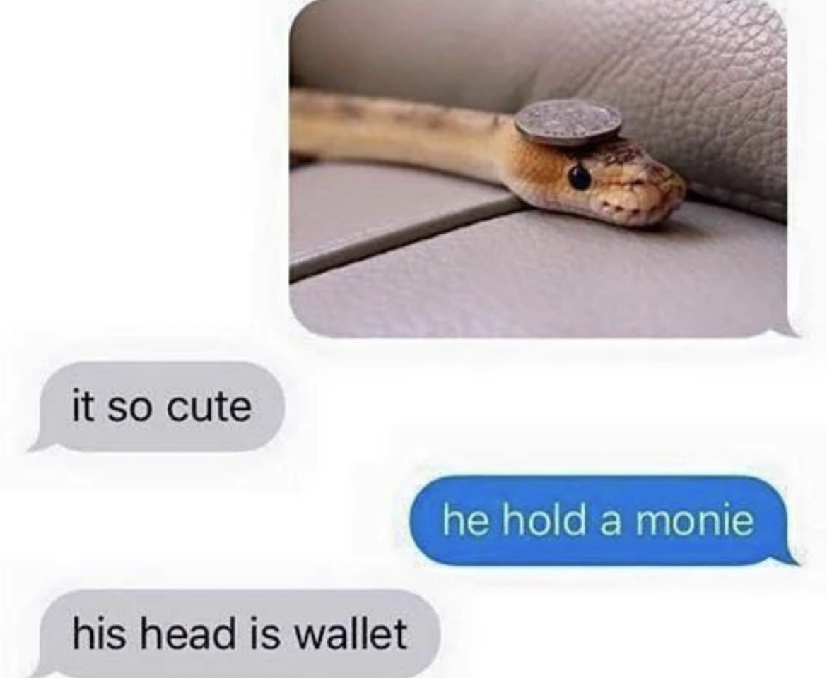 RespectfulMemes's tweet photo. https://t.co/qFc7ylwI4u
